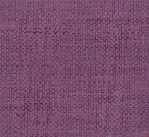 LINO 79